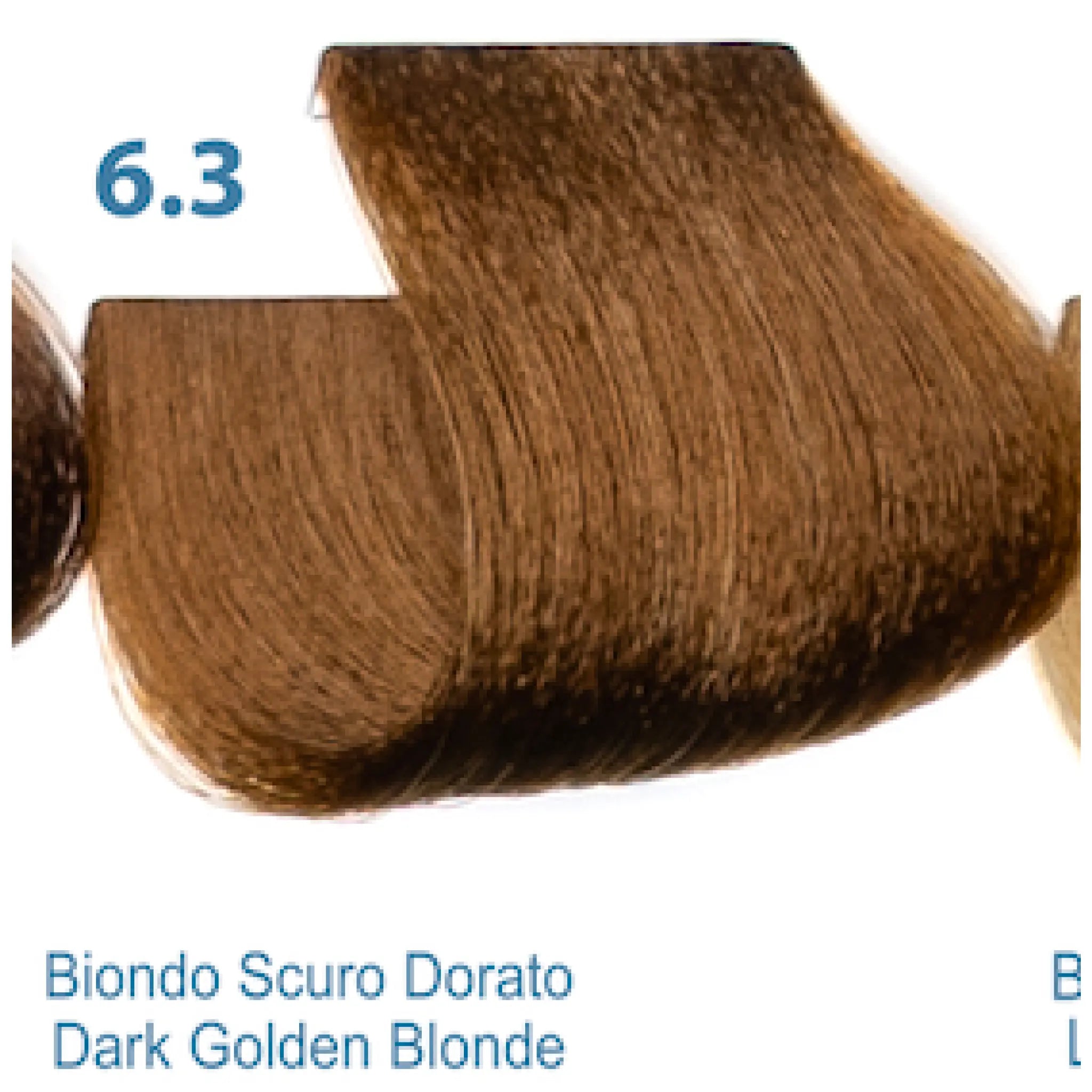 6.3 Dressing sin amonia color Silky Rubio Oscuro dorado