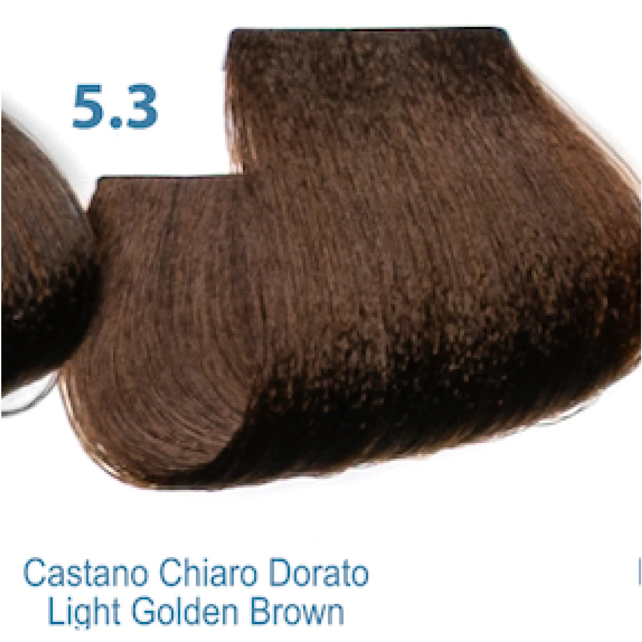 5.3 Dressing sin amonia color Silky Castaño Claro dorado